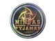 Sticker | Ninjas in Pyjamas (Holo) | Cologne 2014