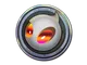 Sticker | Team Dignitas (Holo) | Cologne 2014