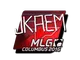 Sticker | jkaem (Foil) | MLG Columbus 2016