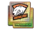 Sticker | Virtus.Pro (Holo) | DreamHack 2014