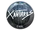 Sticker | XANTARES (Foil) | Katowice 2019
