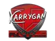 Sticker | karrigan | Krakow 2017