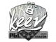 Sticker | keev | Krakow 2017