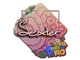 Sticker | dexter | Rio 2022