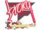 Sticker | broky | Shanghai 2024