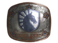 Sticker | Team Liquid (Foil) | Austin 2025