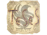 Sticker | TeSeS | Austin 2025