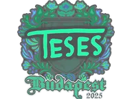 Sticker | TeSeS | Budapest 2025