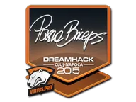 Sticker | pashaBiceps | Cluj-Napoca 2015