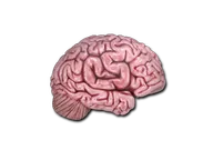 Sticker | CS On The Mind