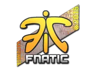 Sticker | Fnatic (Holo) | Katowice 2015