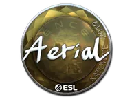 Sticker | Aerial (Foil) | Katowice 2019