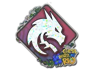Sticker | Team Spirit (Glitter) | Rio 2022