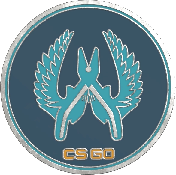 Guardian Pin — Trade CS:GO/CS2 skins on CS.MONEY