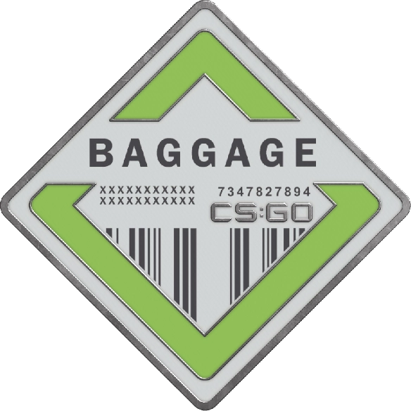 Baggage Pin — Trade CS:GO/CS2 skins on CS.MONEY