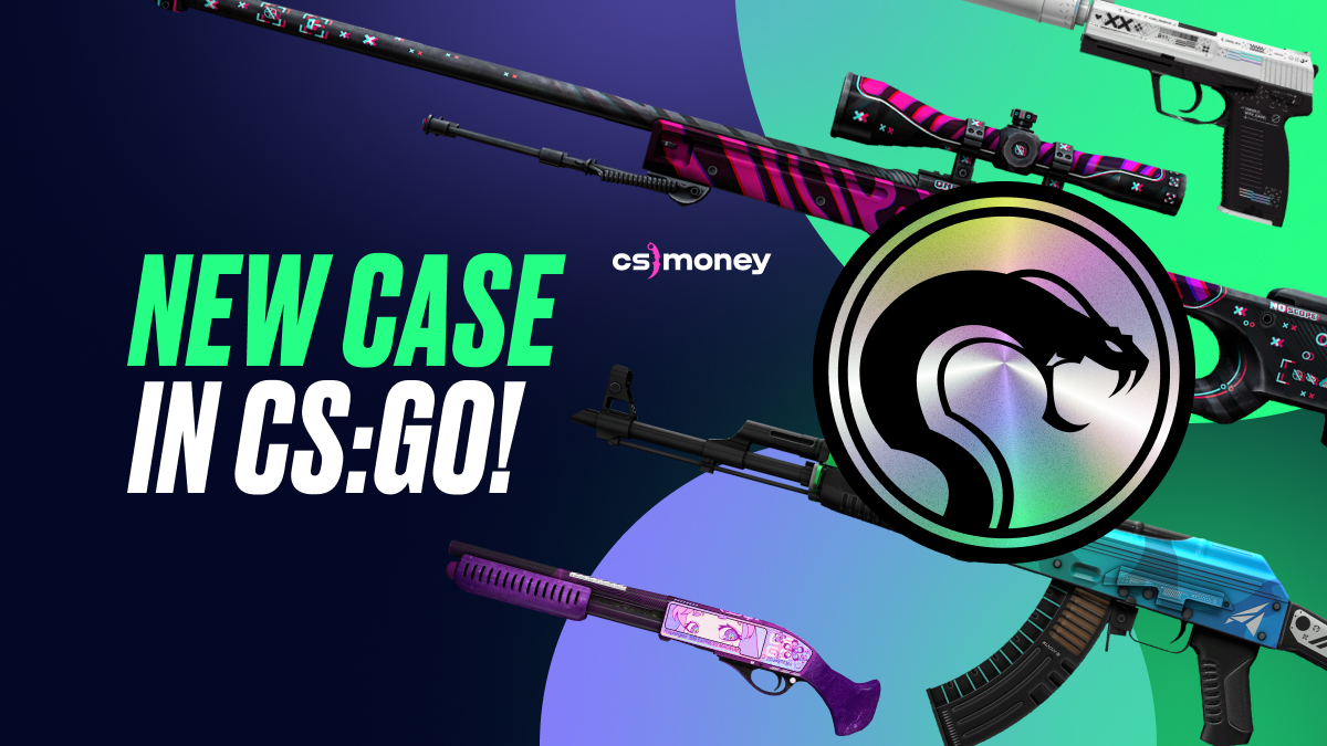 AWP skins - Find out more about skins right here - BLAST