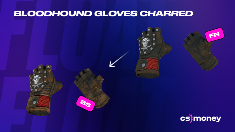 Bloodhound Gloves Charred