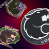 Furia Esports All Stickers Complete List + Craft Ideas
