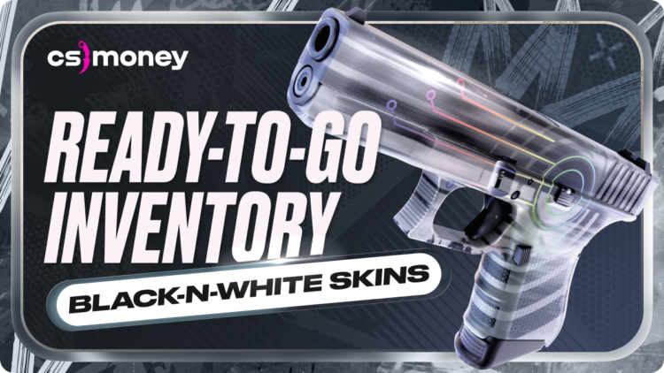 monochrome skins cs2