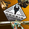 Новая коллекция скинов Anubis — уже в CS:GO!
