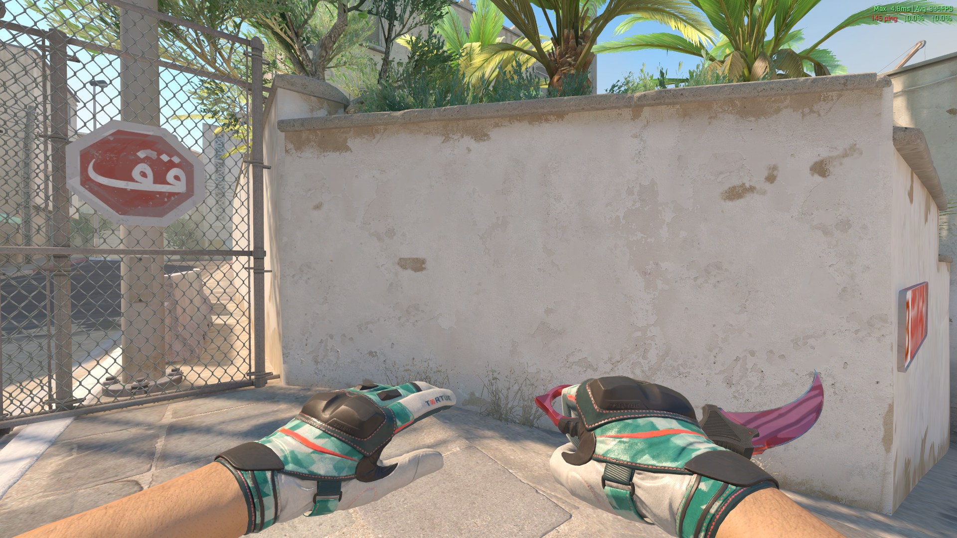 Moto Gloves Spearmint + Karambit Slaughter