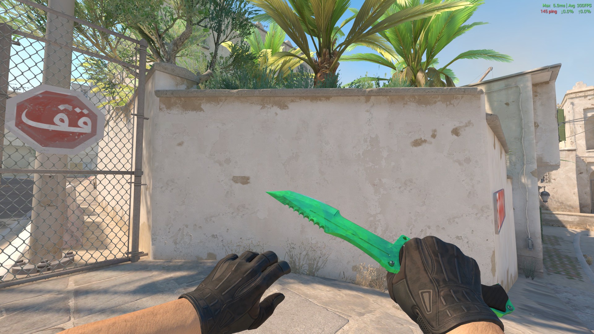 Huntsman Knife Gamma Doppler + Sport Gloves Nocts