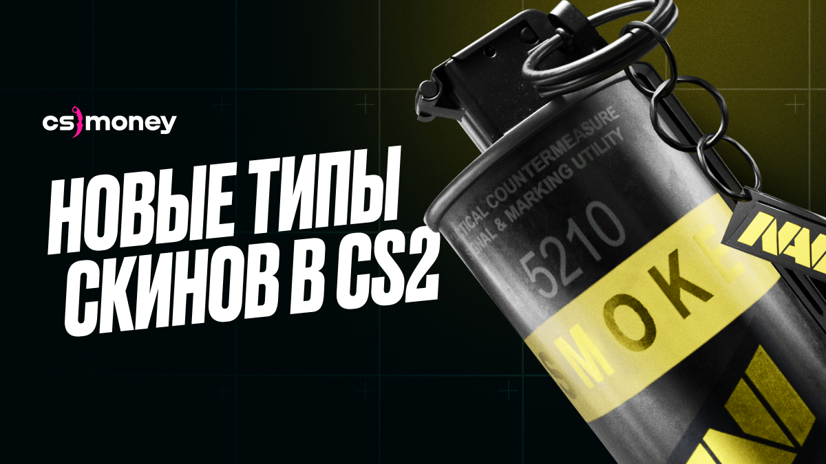 Какие могут быть новые типы скинов в CS2?