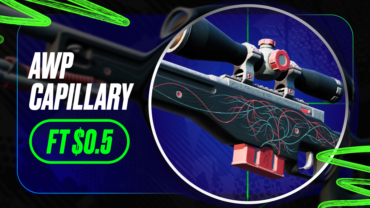13 Affordable AWP Skins in CS2 You Need to See